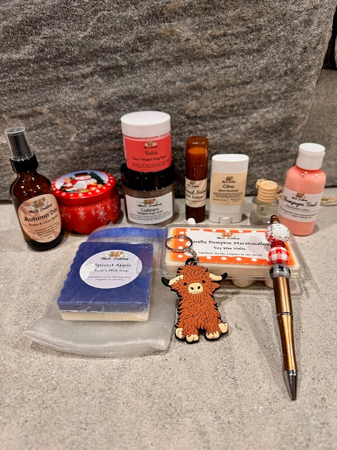 12 Days of Christmas MoCo Style!