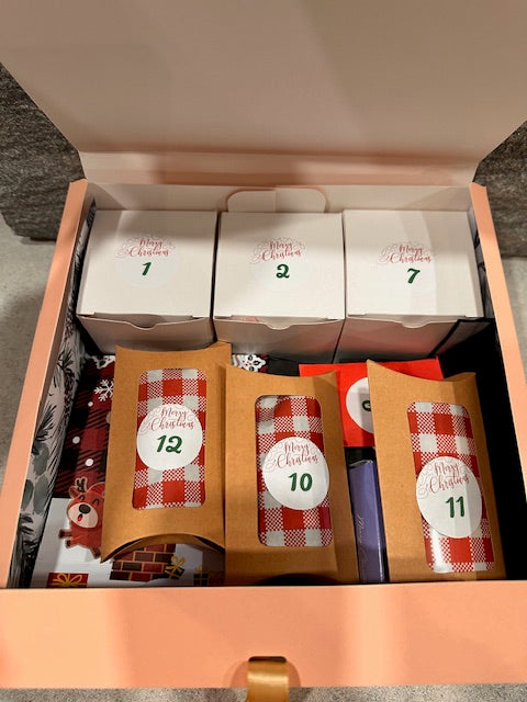 12 Days of Christmas MoCo Style!